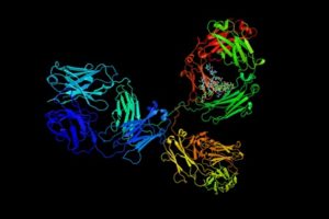 Antibodies to watch in 2017
