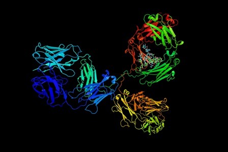 Antibodies to watch in 2018