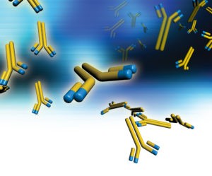 Read more about the article Oligoclonal Antibodies Offer a Multi-Pronged Attack Against Disease