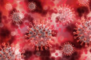 Single Domain Antibodies Recruited in Fight Against SARS-CoV-2